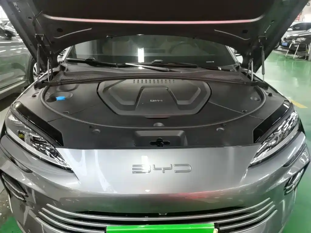 BYD PLUS New Energy 2024 — фото 20