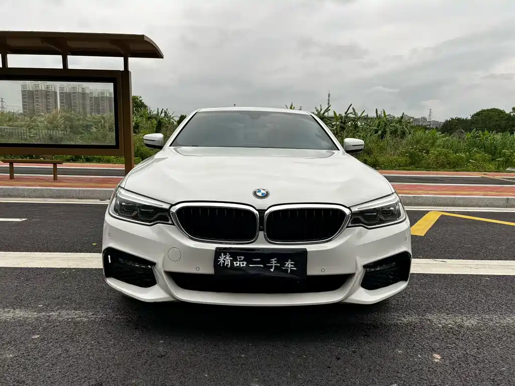 BMW 5 Series 2017 — фото 2