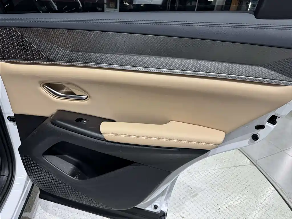 BYD Song Pro New Energy 2025 — фото 28