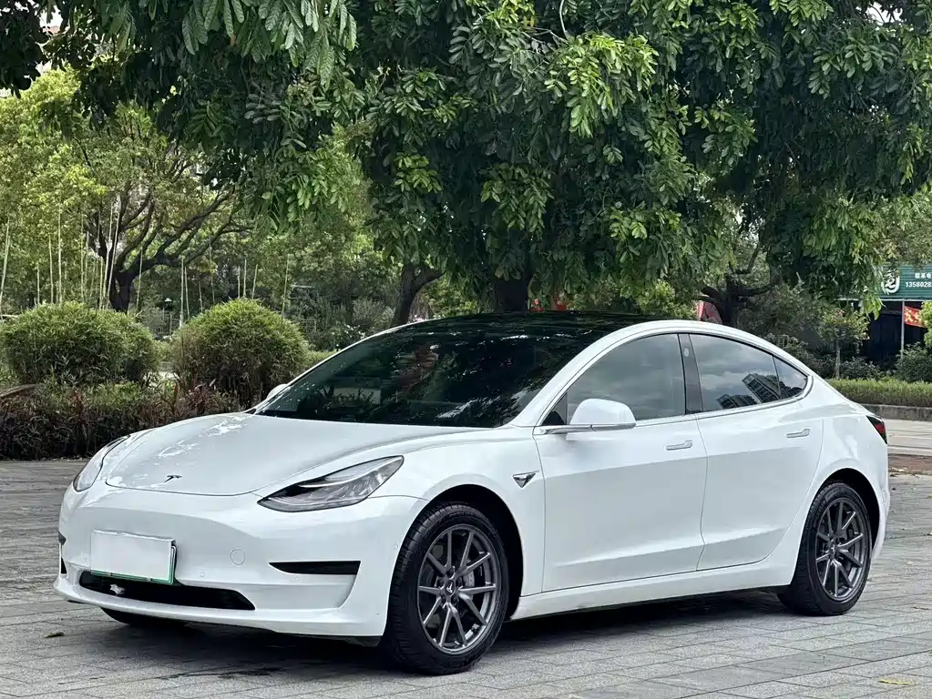 Tesla Model 3 2020