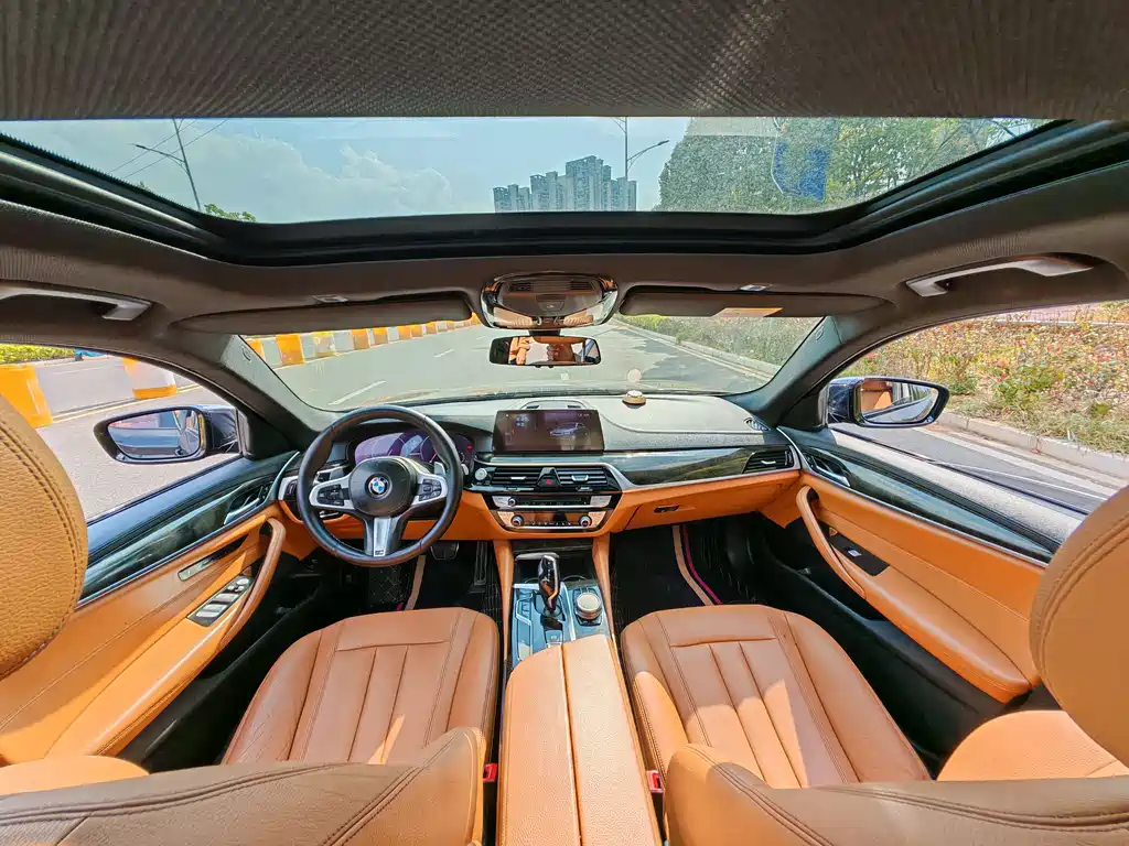 BMW 5 Series 2019