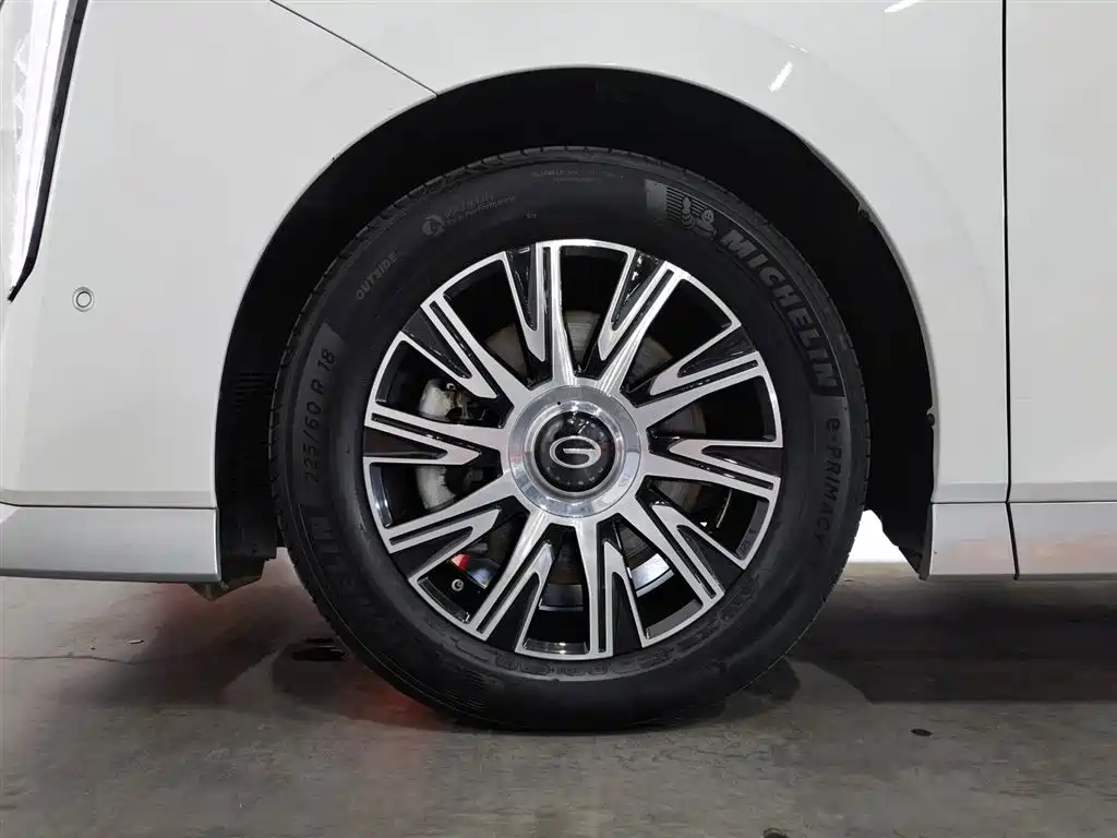 GAC Motor Trumpchi E9 2023 — фото 17