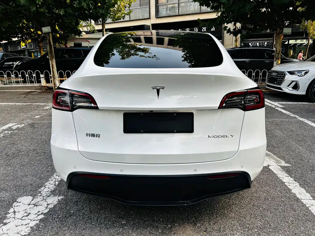 Tesla Model Y 2021 — фото 6