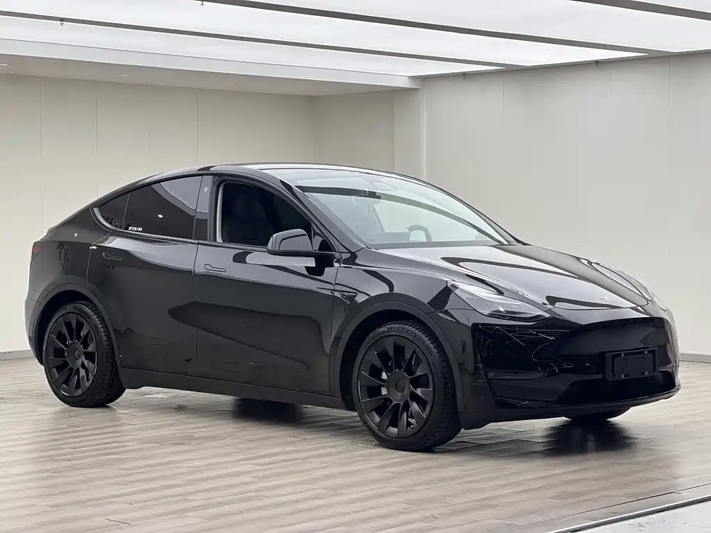 Tesla Model Y 2021 — фото 1