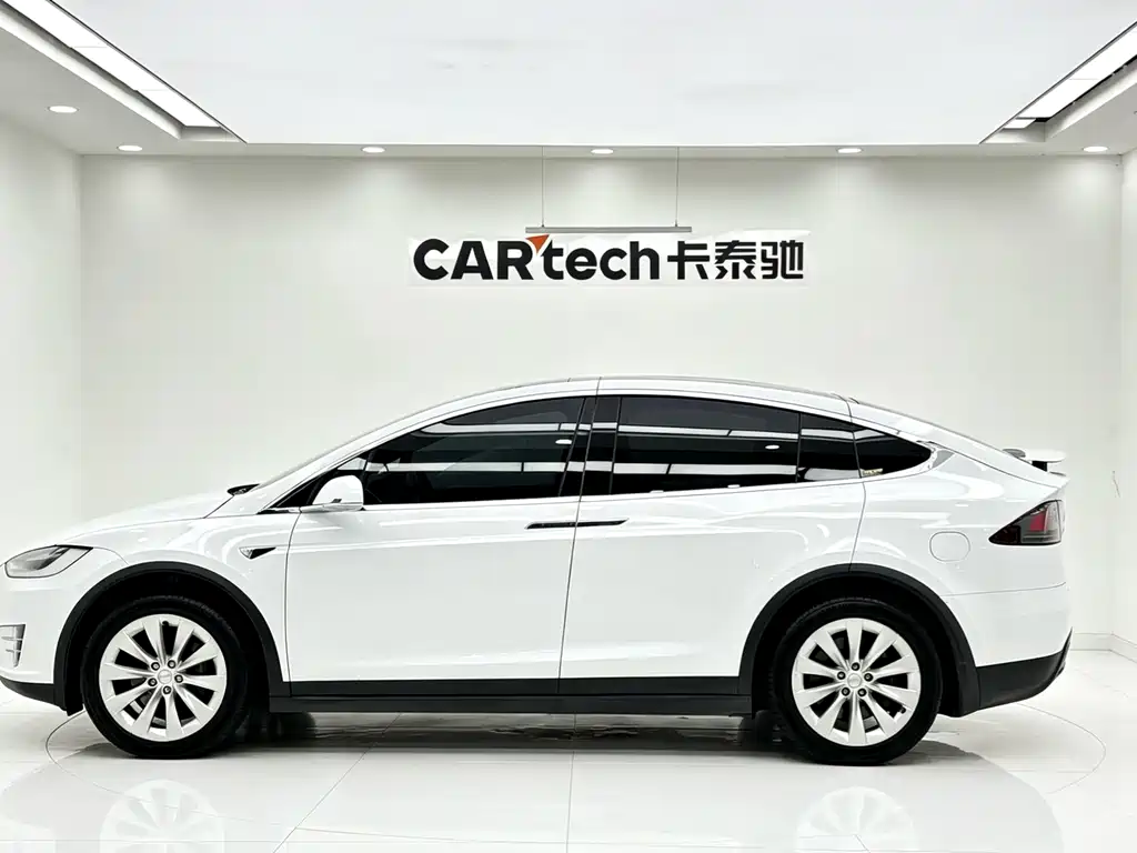 Tesla Model X 2020 — фото 7