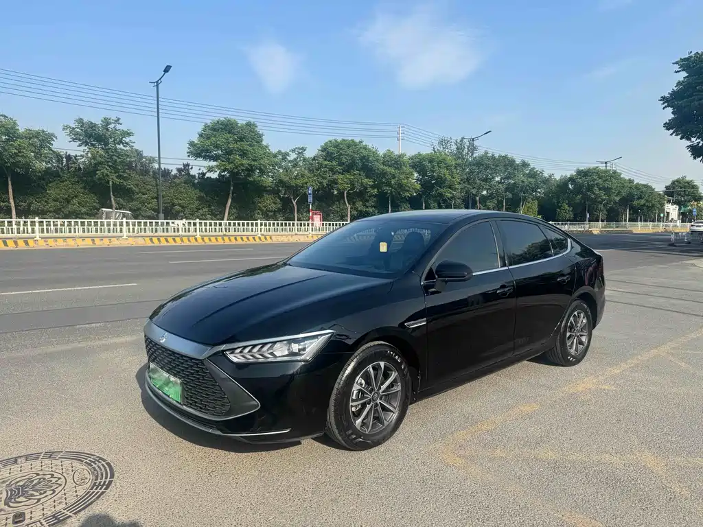 BYD Qin PLUS 2024 — фото 1