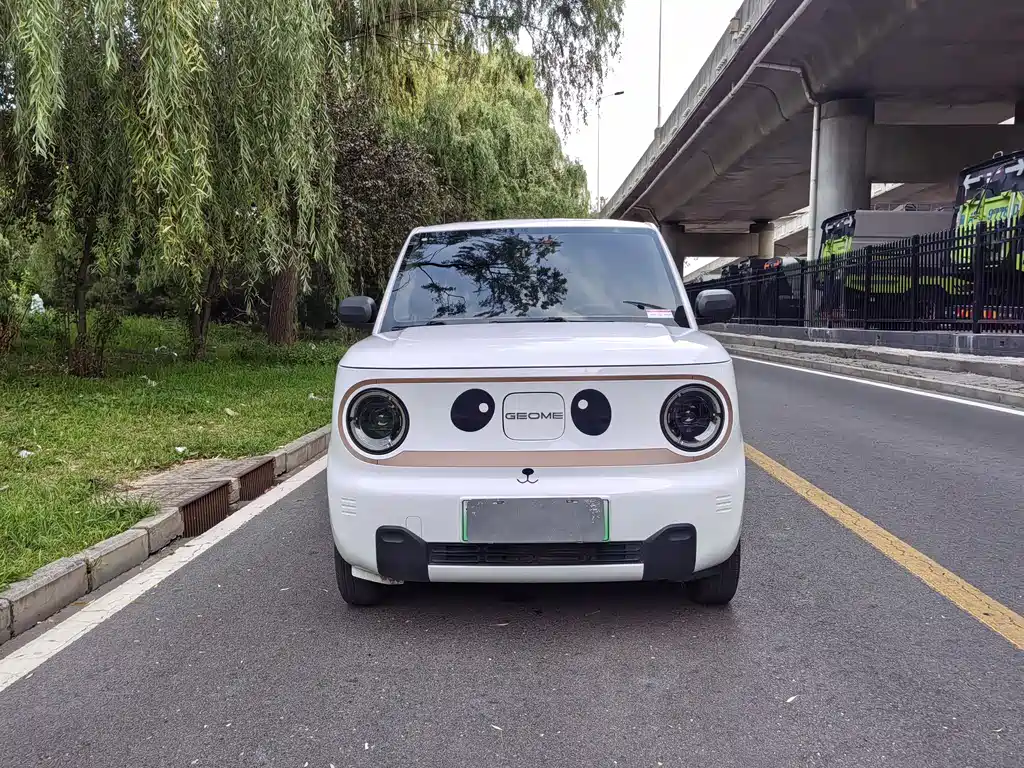 Galaxy Panda 2025