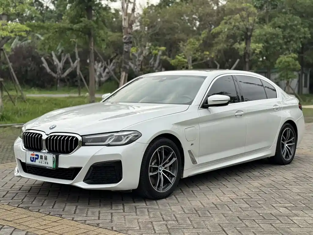 BMW 5 Series New Energy 2021