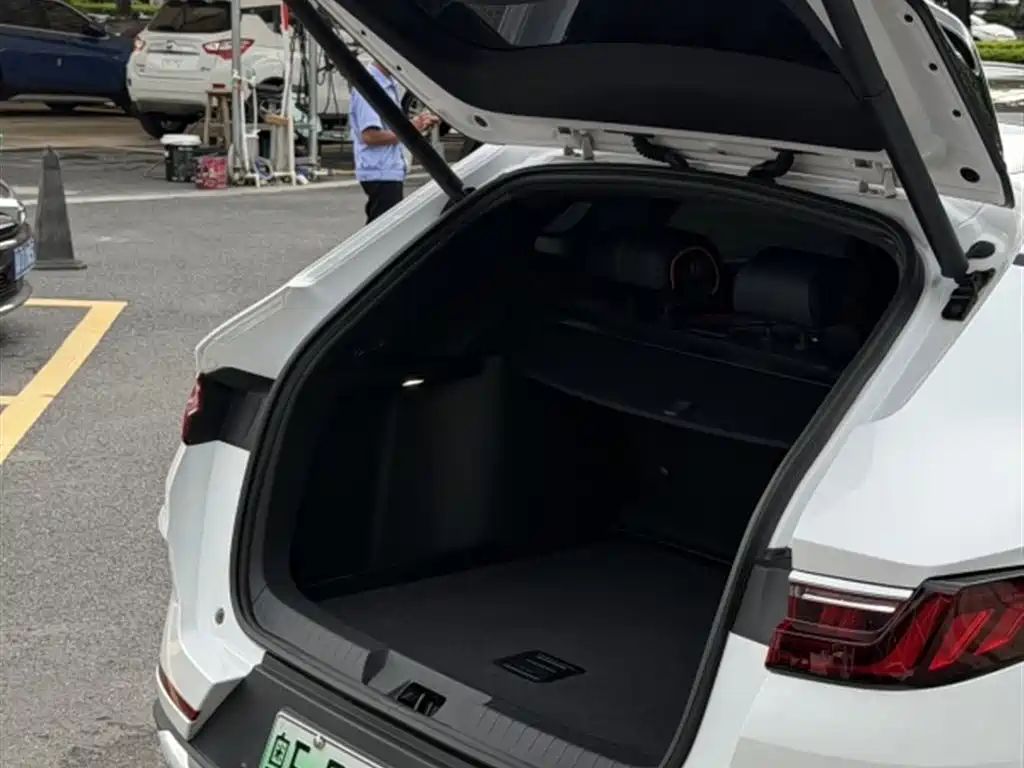 BYD PLUS New Energy 2022 — фото 8