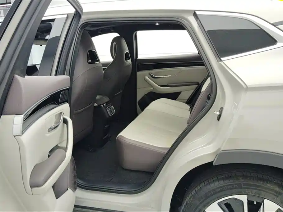 BYD PLUS New Energy 2025 — фото 11