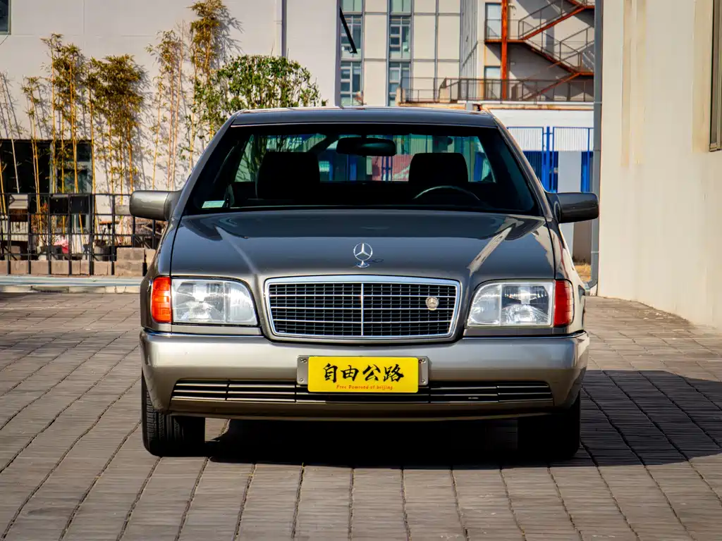 Mercedes-Benz S-Class 1993 — фото 1