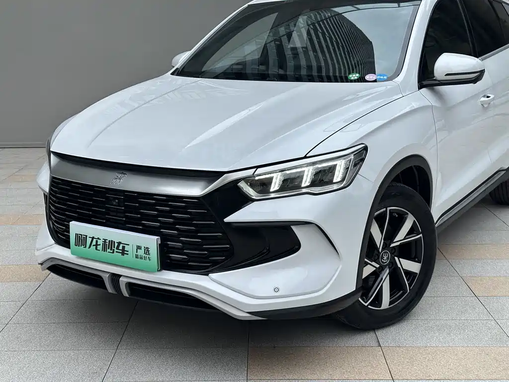BYD Pro New Energy 2023 — фото 2