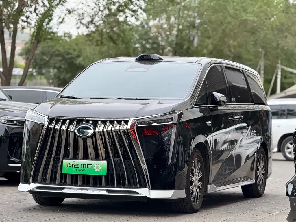 GAC Motor Xiangwang M8 2025