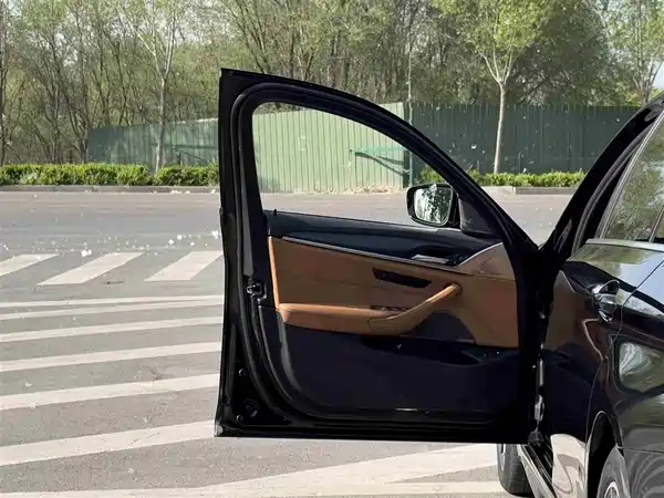 BMW 5 Series New Energy 2022