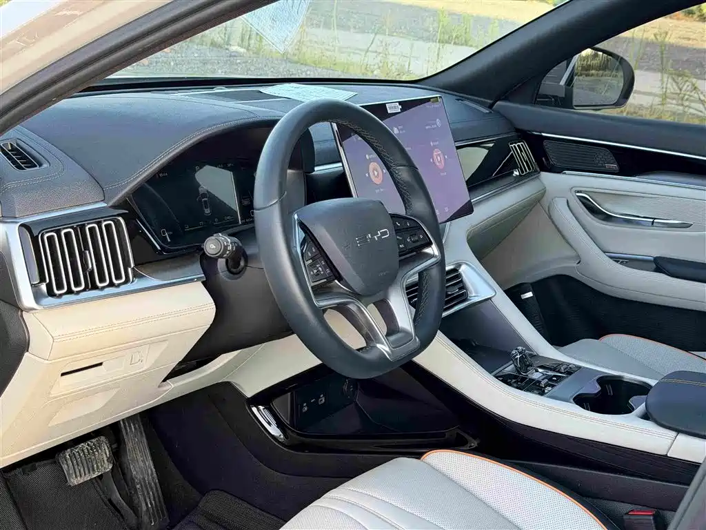 BYD Song PLUS New Energy 2024 — фото 11
