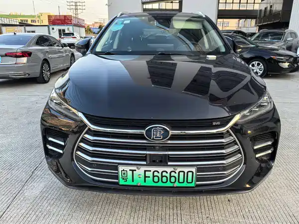 BYD Tang New Energy 2020