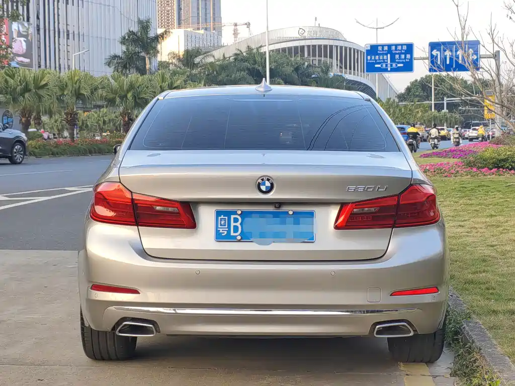 BMW 5 Series 2019
