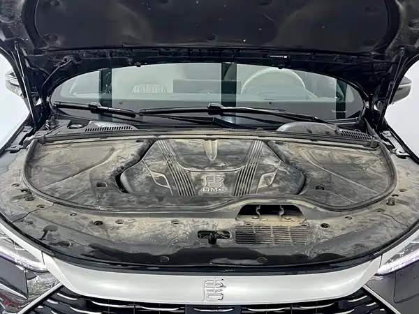 BYD Tang New Energy 2024
