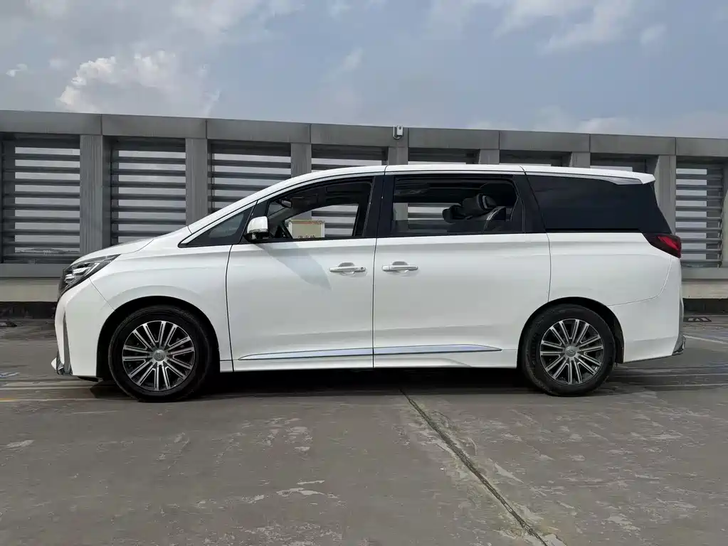 GAC Motor Trumpchi M8 2021 — фото 3