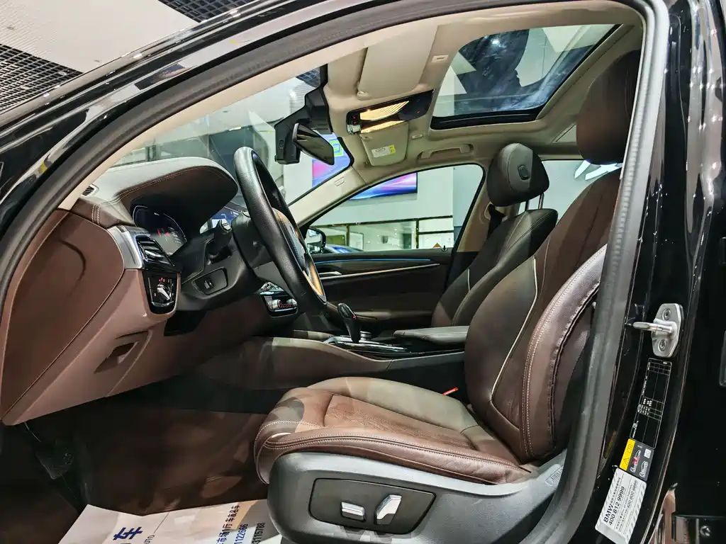 BMW 5 Series New Energy 2021