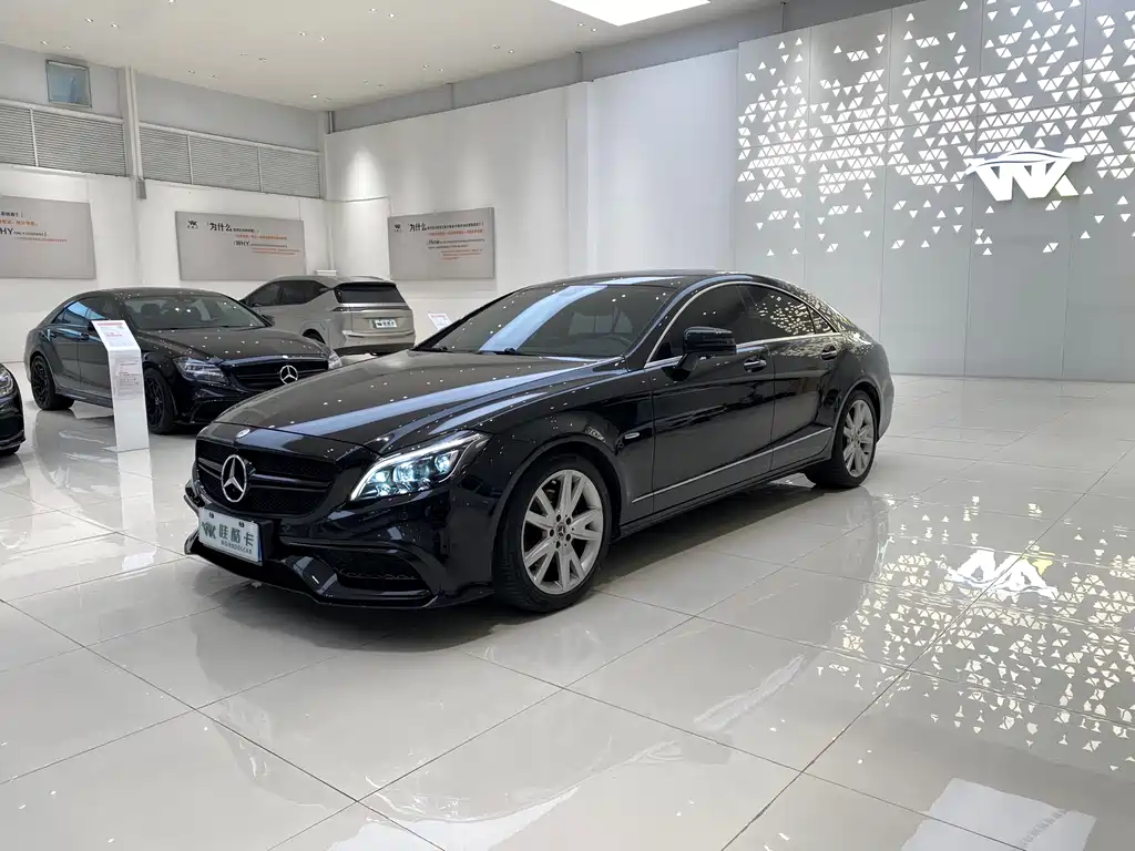 Mercedes-Benz CLS 2013 — фото 1