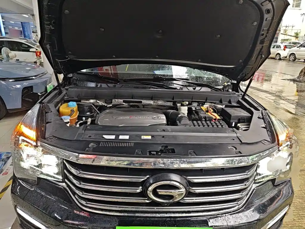 GAC Trumpchi GS8 2018 — фото 20