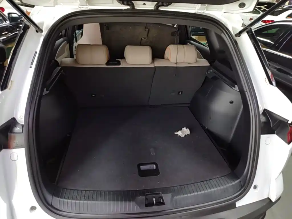 BYD Song Pro New Energy 2024 — фото 19