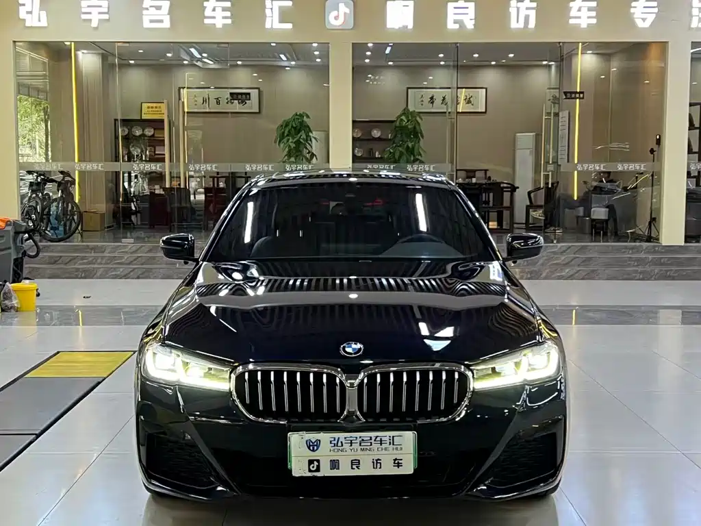 BMW 5 Series New Energy 2021 — фото 1