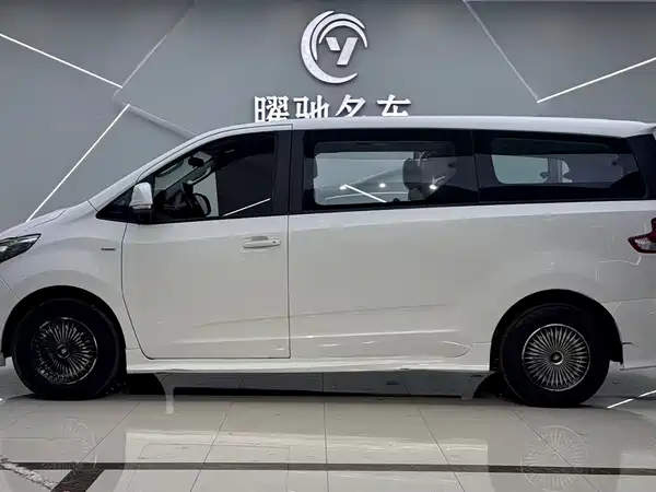 Maxus G10 2019