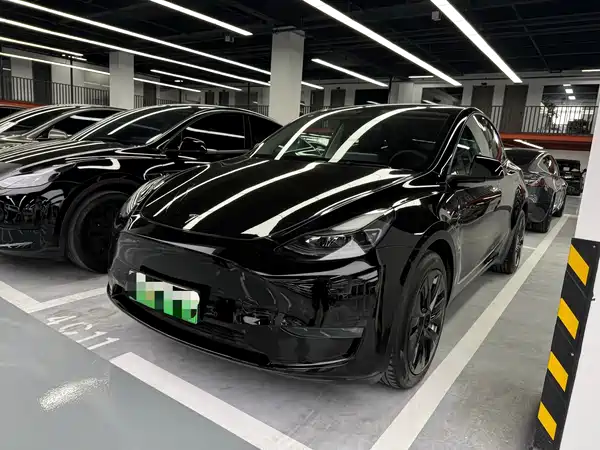 Tesla Model Y 2021