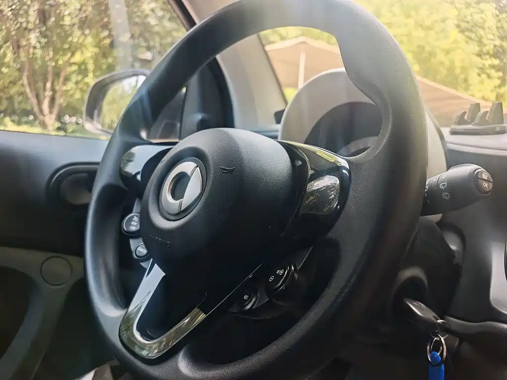 smart fortwo 2017 — фото 11