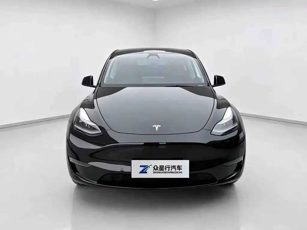 Tesla Model Y 2021 — фото 2