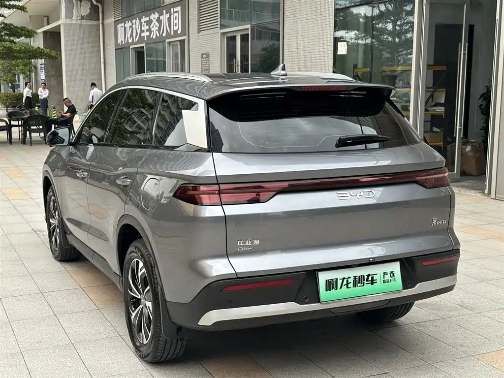 BYD Pro New Energy 2024 — фото 22