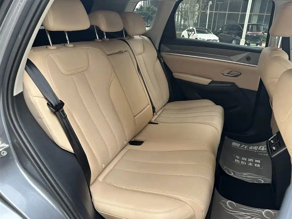 BYD Pro New Energy 2024 — фото 13