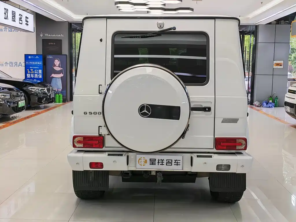 Mercedes-Benz G-Class 2016 — фото 14