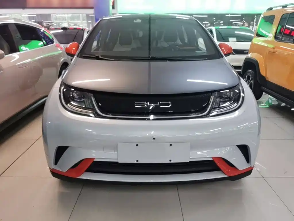 BYD Dolphin 2022