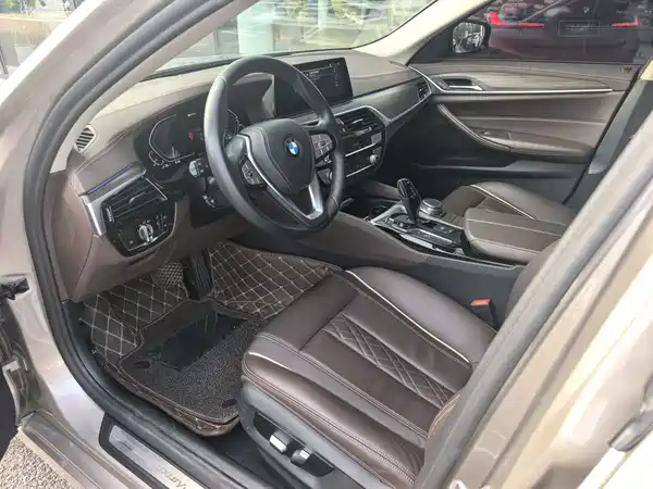 BMW 5 Series New Energy 2020