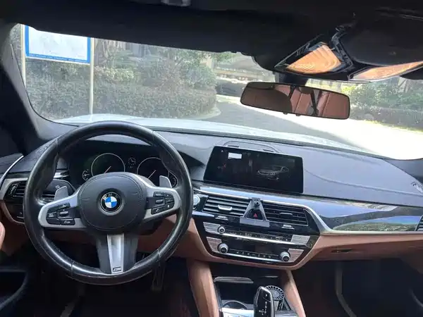BMW 5 Series 2019