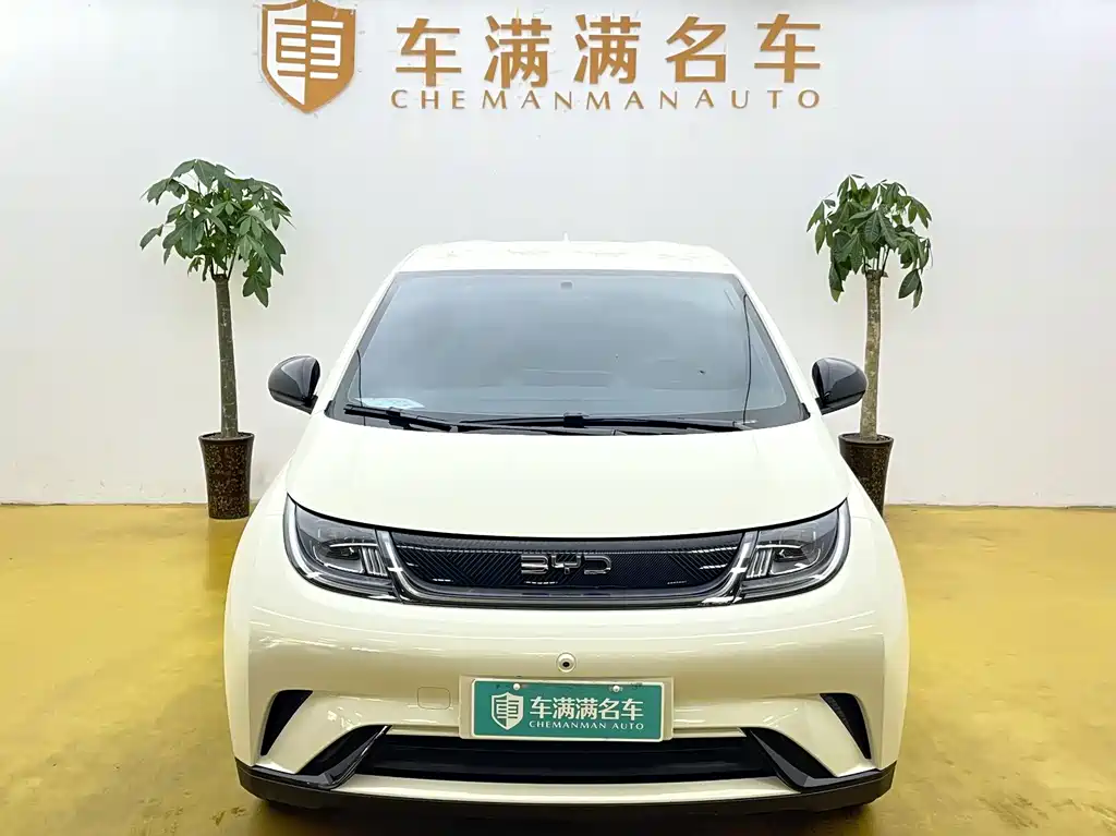 BYD Dolphin 2026