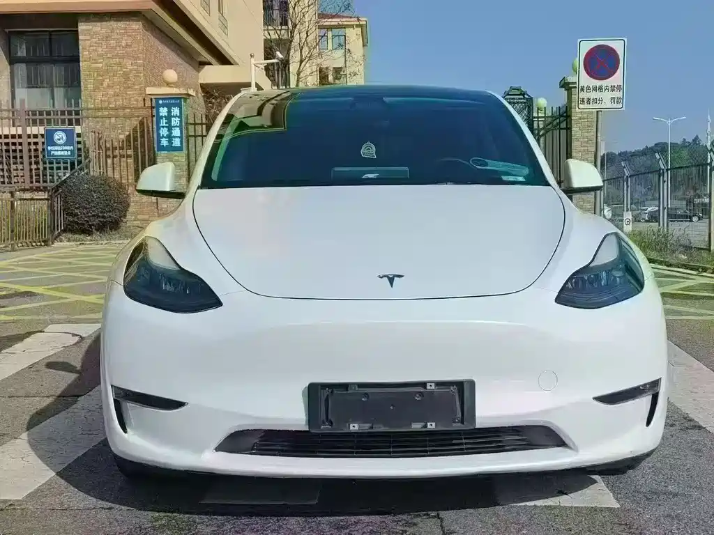 Tesla Model Y 2021 — фото 2