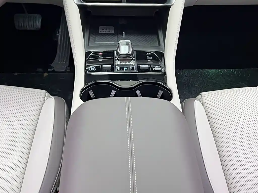 BYD PLUS New Energy 2024 — фото 11