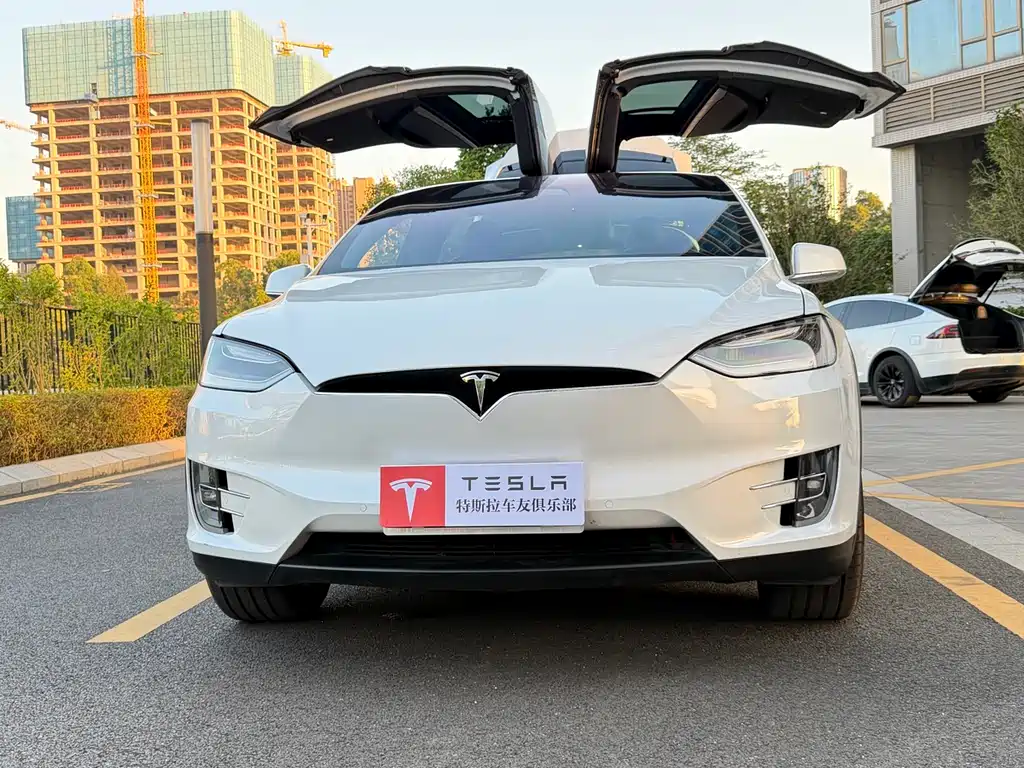 Tesla Model X 2020 — фото 19