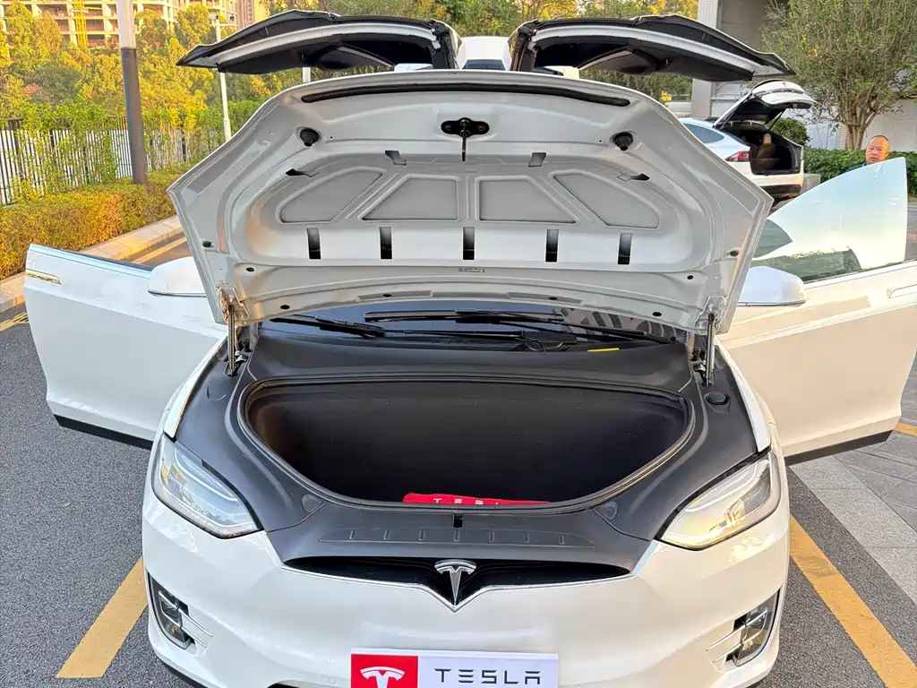 Tesla Model X 2020 — фото 14