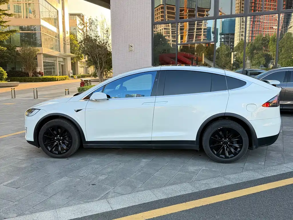 Tesla Model X 2020 — фото 4