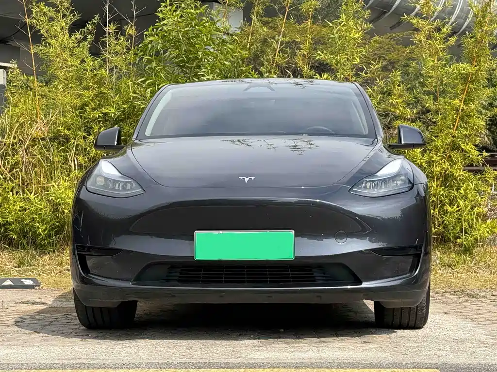 Tesla Model Y 2024 — фото 2