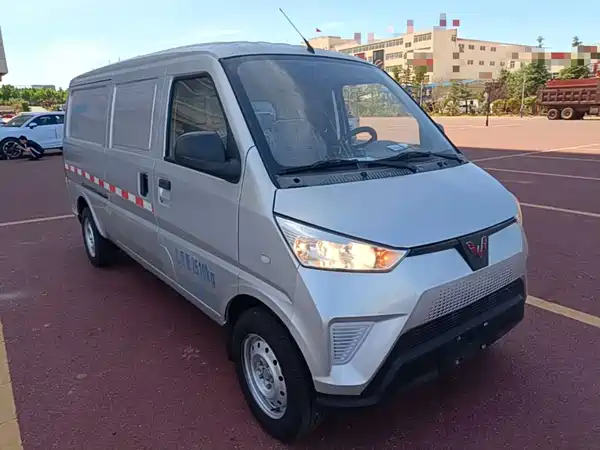 Wuling EV50 2021