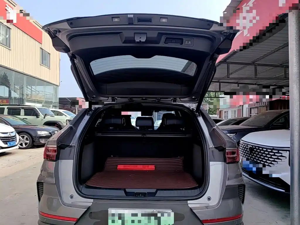 BYD Song PLUS New Energy 2022 — фото 19
