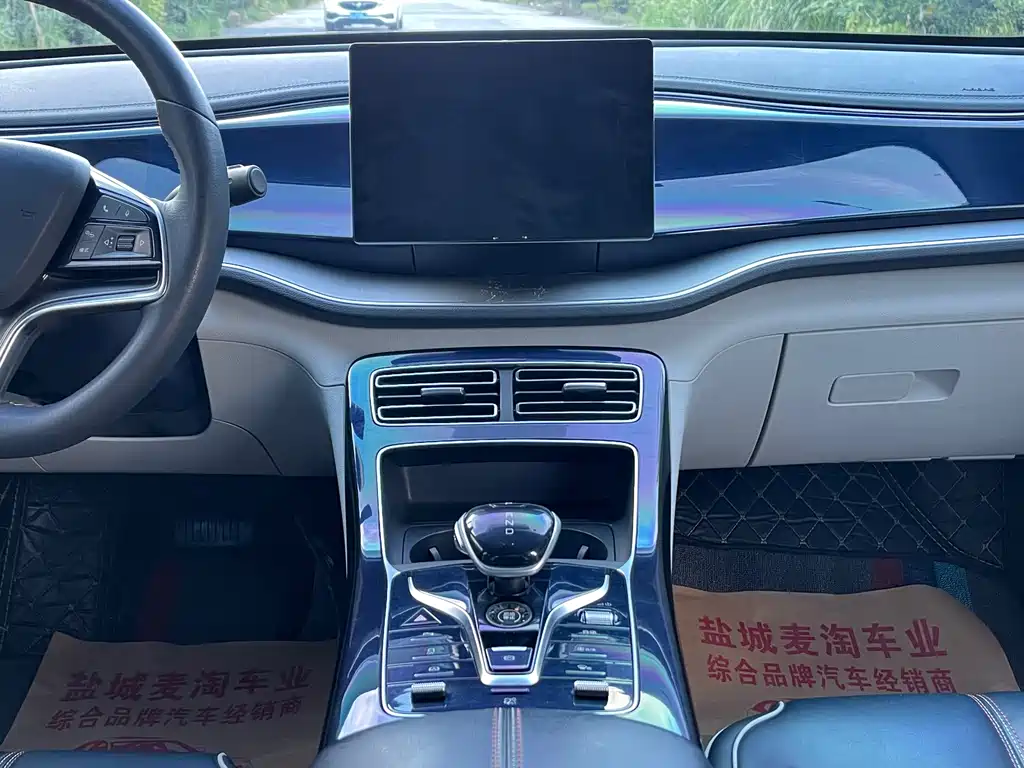 BYD Qin PLUS 2021 — фото 14