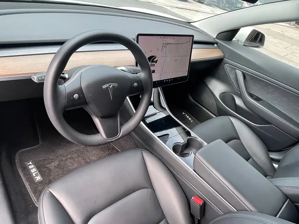 Tesla Model 3 2019