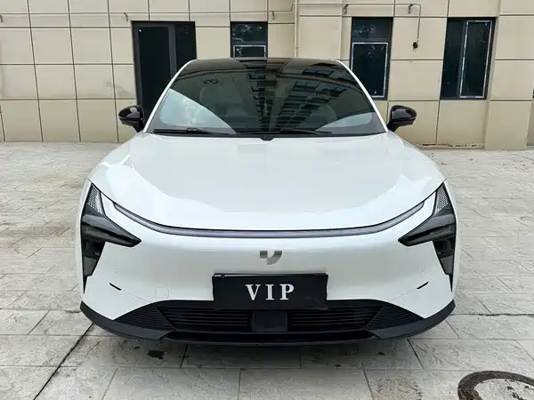 Jiyue 01 2024